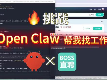 挑战!让Openclaw 帮你投简历 #程序代码 #编程入门 #openclaw #投简历技巧 #it技巧