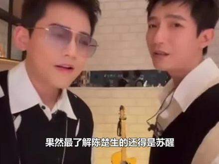 为什么苏醒会这么了解陈楚生#苏醒 #陈楚生 #陈楚生夺冠 #开口跪