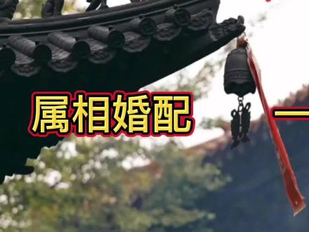 男女属相婚配,一定牢记!
#生肖 #户型 #国学文化 #古人的智慧