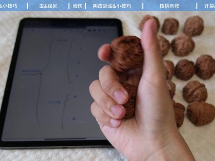 新手玩家要知道的11个文玩核桃问题! 为了更清晰让大家知道购买后拿到手的文玩核桃是否存在问题! 我整理了一下常见的几种情况,用对比图文更细节的讲述让核友们少走弯路,玩的开心
想要来老地方聊天的看简介
欢迎大家!
------
「不同经验的核友可以对号入座」
1️⃣零基础,强烈建议看完全文。
2️⃣有基础但不多,滑倒最后看问题全览并截图,出现拿捏不准的对比来看
3️⃣老玩家,留个足迹
------
「全文章节概览」
方便大家直接找到对比是否有问题
00:35 黄尖&花皮鉴别以及小技巧
01:31 虫眼&虫爬鉴别及常见误区
02:30 晒伤及砸伤
02:53 阴皮&反油鉴别及小技巧
04:16 核桃有修鉴别及个人看法
05:33 核桃磕碰及开裂常见情况
06:34 常见的问题图片(截图保存)
------
「一些碎碎念」
最近老喜欢弄一些碎碎念,不知道哪里来的这么多
第一次弄视频,嘎巴嘎巴弄了半天,录完后发现其实还会有一些内容没有讲到
比如说生长线和黄筋怎么区分?
裂纹和真正的裂怎么辨别?
缝隙发白是为什么?
每一个问题单独拿出来都可以说很久
第一次就先这样
后面咱们慢慢补哈哈哈哈
#文玩核桃 #文玩女孩 ##新手文玩 #核桃挑选技巧 #文玩核桃知识