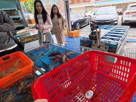 福建漳州来吃海鲜火锅的十个小帅小美! 看着应该是大学生吧,青春洋溢的#普宁蟹老板 #海鲜 #潮汕 #日常vlog #原创视频