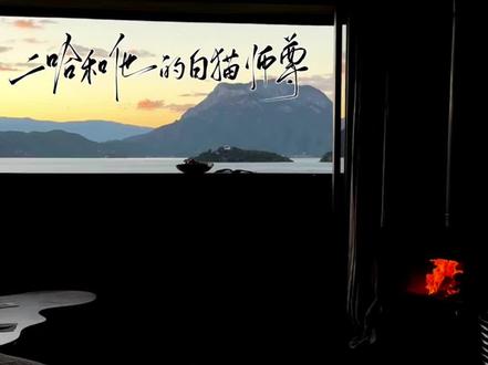 看似退让,实则挑衅 🐶子又踩雷了…#二哈和他的白猫师尊#燃晚99#肉包不吃肉原著