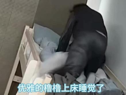 #王橹杰#橹穆#橹瑞友谊#神操作
神这么做肯定有他的道理…… #王橹杰 #橹瑞友谊