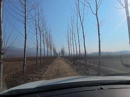 #每周一山 #户外亲子 #山顶见 #2025年收官 #徒步
山顶再见 2026