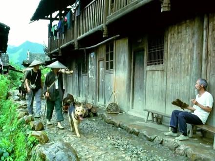 发芽土豆,竟然是美味佳肴?