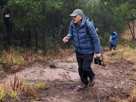 【秘境追踪】-(4)探访新近清理出来的南线翠云廊最南端的剑阆古蜀道“小垭子-老土地”#蜀道 #徒步 #秘境追踪