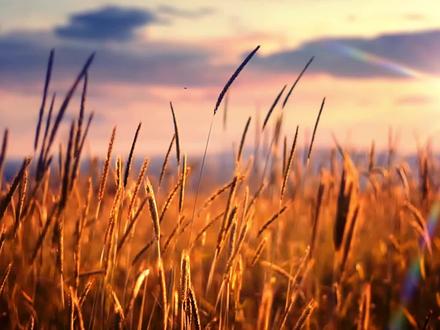 PPT结尾太单调?试试这个让你做出电影质感效果,告别单调,简单易学!#动态ppt教程 #怎么制作ppt动画 #ppt如何编辑文字 #ppt #ppt教学 #ppt模板