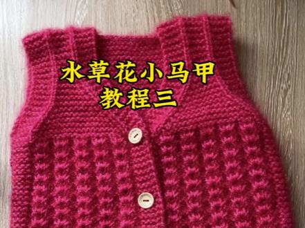 #玩毛线 #纯手工打造 水草花小马甲#零基础教学