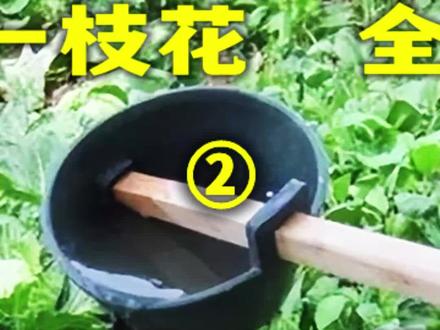 庄稼一枝花全靠粪当家?国外推崇的 #粪水浇菜,为何没被我国推广? #农业 #科普 #冷知识