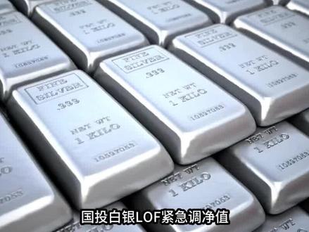 国投白银LOF净值调整 国投白银LOF净值调整,蹊跷背后的风险。#国投白银lof #白银 #净值 #黄金