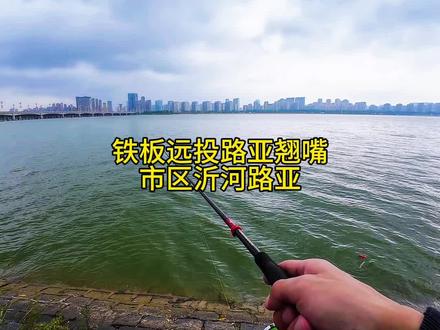 铁板远投路亚翘嘴,路亚界也出来我要验牌了啊,不验牌根本钓不到白白嫩嫩的翘嘴,市区沂河钓翘嘴@池刃官方旗舰店 #路亚 #池刃焕芯局 #池刃蝰首二代 #精雕航空铝齿 #池刃路亚