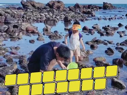 今天是赶海Volg哦,原来在大深圳有这么多适合带孩子去赶海的地方#赶海赶海赶海啦 #vlog日常 #抓螃蟹 #一起来玩水