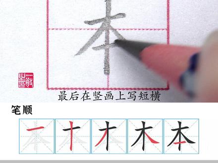 一年级 上册生字 “本” 字书写 #练字技巧 #硬笔书法