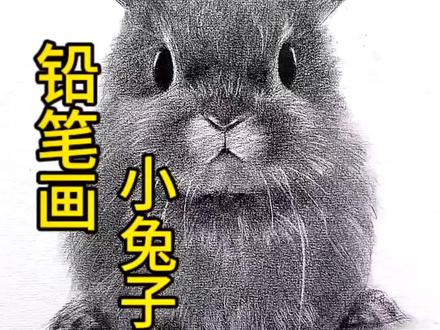 用铅笔画出一只可爱的小兔子,你们爱了吗#素描动物 #铅笔画 #绘画 #炭笔画 #调皮的二宝
