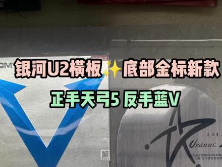#乒乓球 #乒乓球拍搭配 #乒乓球视频 #乒乓球拍