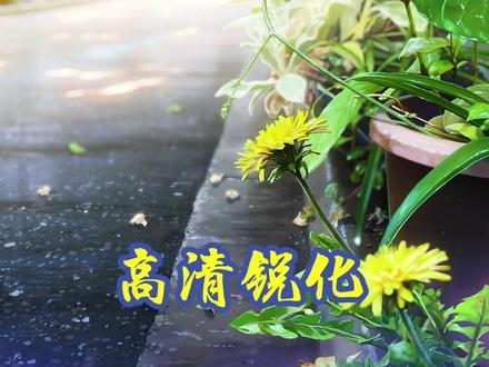 你真的会用锐化么?为什么别人的视频这么清晰而你的不行?#锐化 #高清60帧 #pr教程