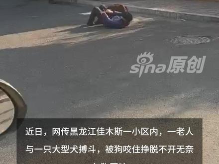 大爷当街被狗撕咬,挣脱不开无奈对咬?知情人:他误把邻居家的狗放出来 更多视频资讯关注@新浪新闻 #大爷当街被狗撕咬挣脱不开无奈对咬