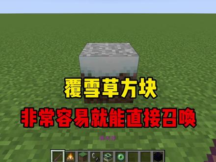 调试棒如此离谱?!#我的世界 #minecraft