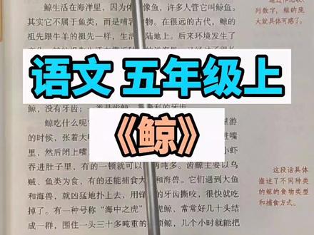 噢买尬,鲸居然跟我们人一样是喝nai长大的,意不意外,惊不惊喜#小学语文 #小学语文课本 #五年级上册语文