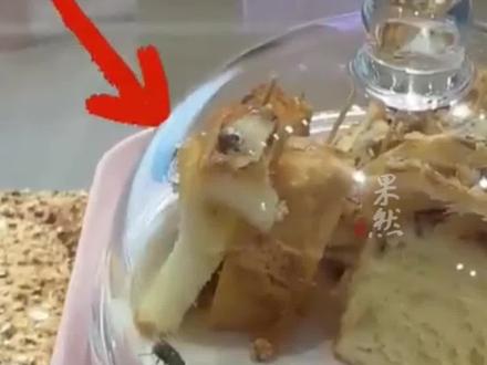 好利来回应面包上有2只苍蝇乱飞(荔枝新闻)