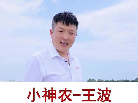 大棚降温那种方式最有效#新农人计划2023 #抖音助农 #三农 #优质农产品 #农业种植 #种植大棚