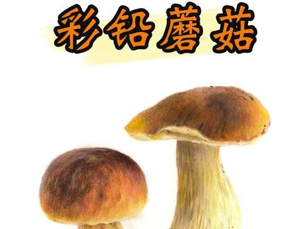 #零基础学画画 教你画个可爱的彩铅小蘑菇#画画教程 #画画