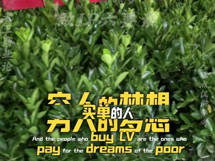 如何做个人IP,老王,欣姐,把IP底层逻辑扒得底朝天! 手把手教你如何打造Ip,讲清楚什么是六芒星逻辑,在美国几万美金都听不到的讲解。#个人Ip#商业思维 #商业认知 #Ip打造#胡说老王