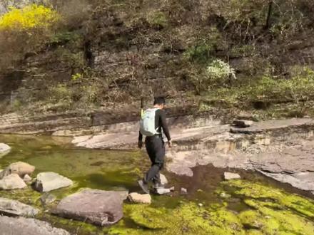 巩义黄牛寨,小蛇谷,黄牛寨。好玩!#山野自然 #享受大自然爬山