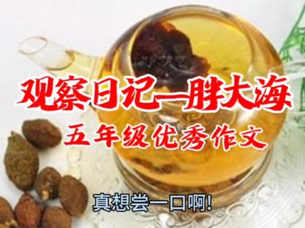 观察胖大海的日记 #胖大海 #药材 #观察力 #生活积累经验