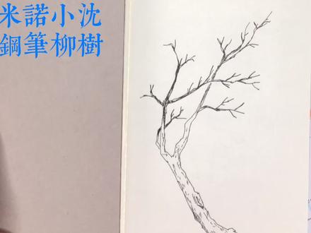 2020彩色笔柳树2#一起学画画