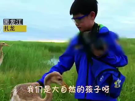 央视少儿 #最野假期 !不一样的假期,我们用 #歌声 唱出来!猛戳完整版一同感受 #野孩子 的活力吧