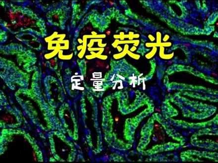 免疫荧光——定量分析
#博士 #硕士 #研究生 #科研