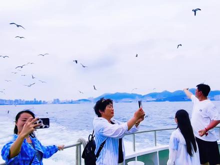 从焦作→威海5天4晚自驾游!说走就走的旅行,笑到海鸥都抢镜! 13小时1200公里,老父亲的爱,就是油门踩到底!第一天?不存在的!🤣 但第二天那香海的海景房真香!重点来了!沉船西侧必须早起!停车位随便挑,娃能挖沙到地老天荒!喂海鸥神操作:小香肠插竹签——举高了它们才吃!买超大香肠?抖音搜‘威海海鸥围攻’,直接上演《鸟群暴动》海鲜大咖就选美团看食材下单!还有,只带洞洞鞋。其他鞋都是沙滩的俘虏!” “韩乐坊‘朴阿卜自助’用不同手机美团下单,每人省16块。AI消除路人照了解一下?科技拯救钱包啊!必备:裙子、洞洞鞋、防晒,充电宝。说走就走的快乐才是王道!温馨提示: 1.沉船拍照穿亮色裙子更出片,提前网购! 2.养马岛果冻海需查潮汐,晴天才能get“小马尔代夫”。