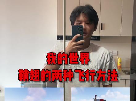 大家学hui了吗?#我的世界