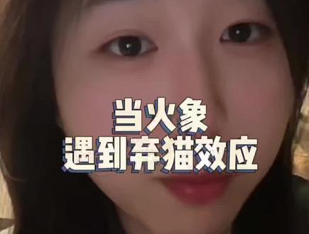 当火象遇到弃猫效应#火象星座 #白羊座 #狮子座 #射手座