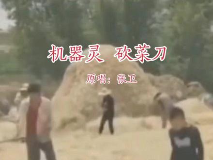 创作不易,八零後请看完#致我们逝去的童年 #怀念小时候的我们 #怀旧经典 #珍贵影像 @DOU+小助手