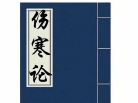 #倪海厦老师讲中医 人纪-伤寒论115#传承中医文化