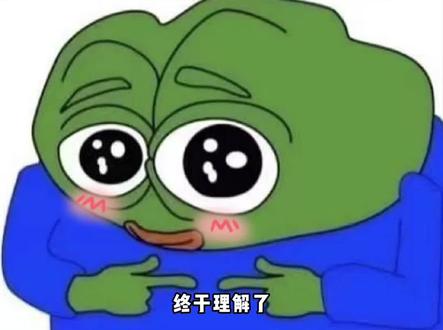 屎盆子镶金边太明显了 #网友 #坑人 #老外学中文