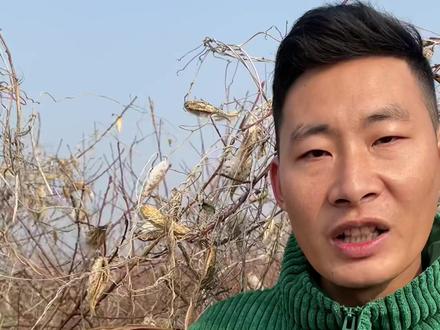 萝藦是一种古老的植物古称芄兰、别名嘎啦飘、羊婆奶、婆婆针线包等,大家那边都是如何叫它的呢?#萝藦 #我的农村生活 #科普植物 #草本植物 @抖音小助手 @抖音自然