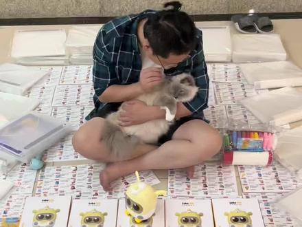 我们不一样!#英语启蒙 #陪跑营