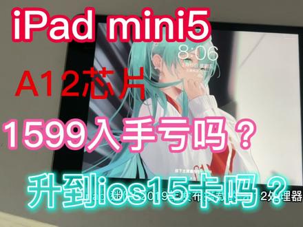 iPadmini5:我很能打的!