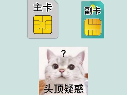 如何区分手机副卡和主卡之间的关系 #手机副卡 #手机卡 #干货分享 #fyp @抖音小助手 @DOU+上热门