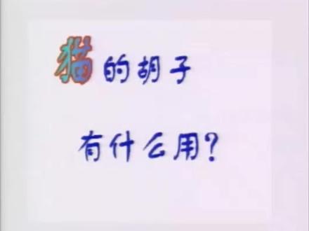 你知道猫的胡子有什么用吗?#科普 #十万个为什么 #涨见识了 #育儿