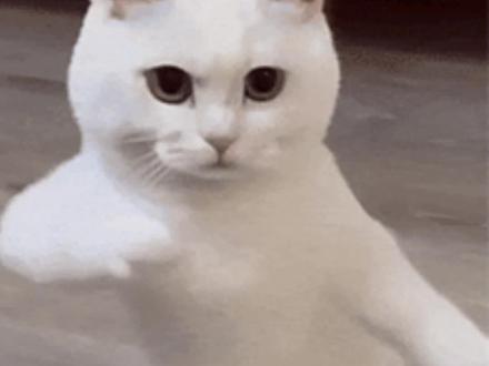 这么好的AI教程你们都偷偷看是吧 #豆包AI #豆包app