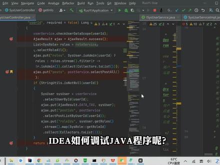 JAVA知识分享【第33集 idea调试JAVA程序】调试学到好,开发快人一步!#知识分享 #教程 #科普 #程序员 #原创