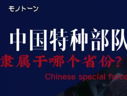内陆十支特种部队,隶属于哪个省份及部门?你身边有几个?#特种部队 #军迷 #军粮 #单兵口粮 #压缩饼干