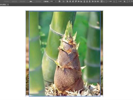 春天主题画《春笋》,用弧线画春笋,简单好看#简笔画 #儿童画 #亲子 #春天你好 #春天的色彩 #植物