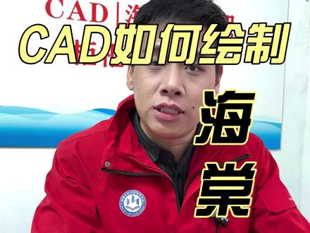 CAD如何绘制海棠角 #拆单培训 #全屋定制培训 #CAD #海棠角 @启鸣家具拆单培训 @启鸣家具拆单设计培训 @启鸣木门安装培训 @启鸣家具美容修复培训