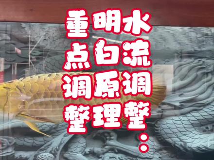 水泵流量可以买大,但是不一定要开大,出水和水泵的协调作用就是最大限度地将水推向溢流区再到底滤进行过滤。#过滤系统 #鱼缸水流 #水泵流量 #空气缸