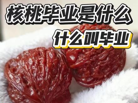 什么是核桃毕业,什么称为毕业#柒核#上热门🔥 #文玩核桃科普 #创作者中心 #创作灵感